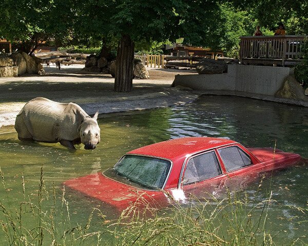 Шьонбрун - най-старата зоологическа градина в света (Schonbrunn Zoo)